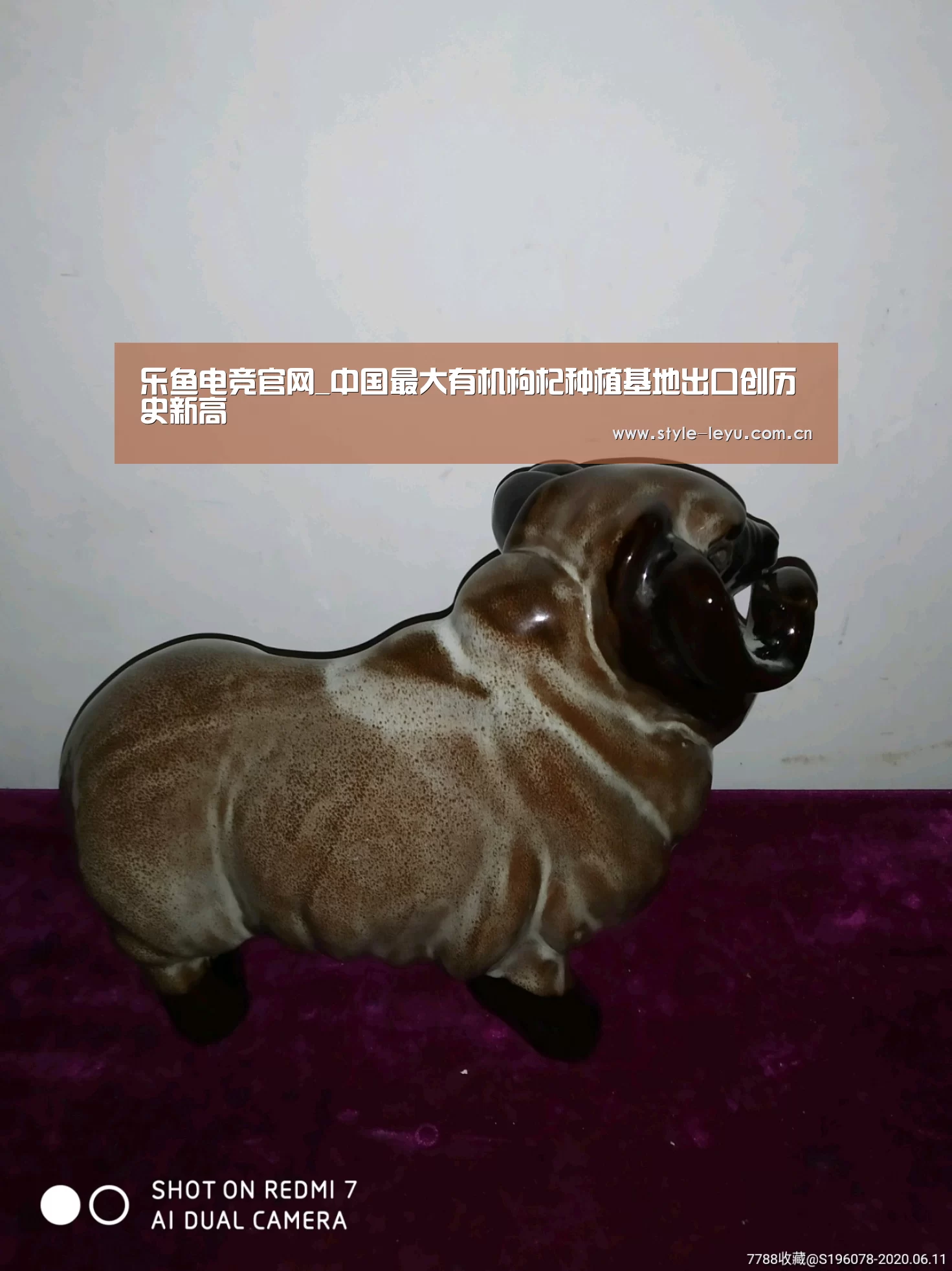 乐鱼体育