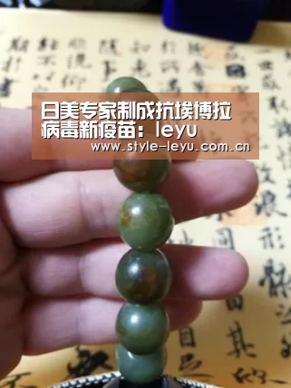 日美专家制成抗埃博拉病毒新疫苗：leyu(图3)