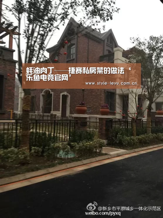蚝油肉丁——捷赛私房菜的做法‘乐鱼电竞官网’(图3)