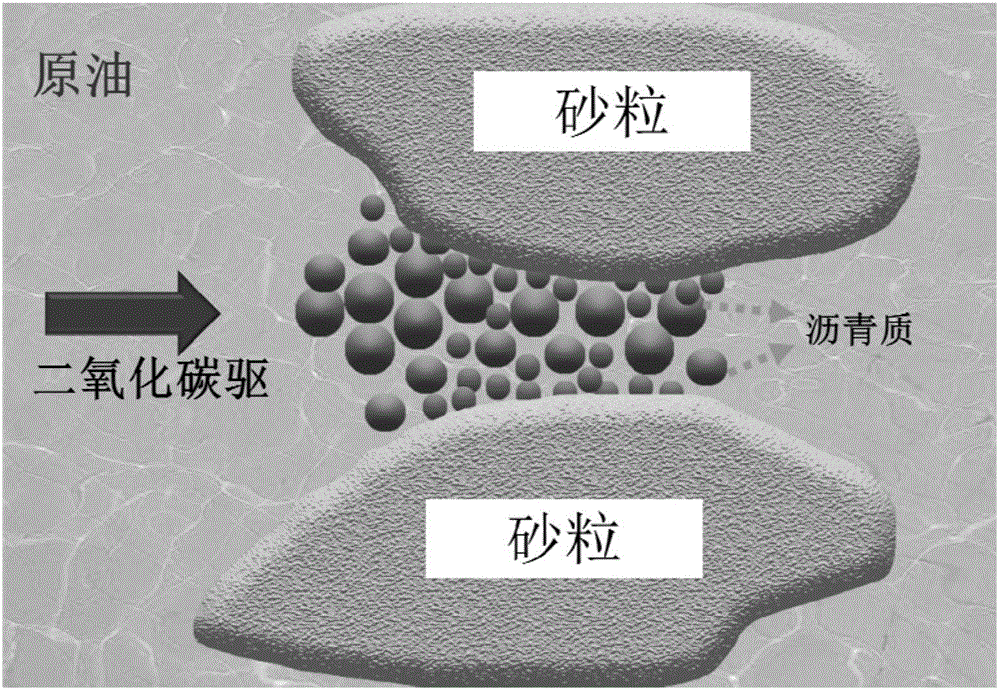 乐鱼-麝香粉 保健品网代理(图2) 乐鱼体育