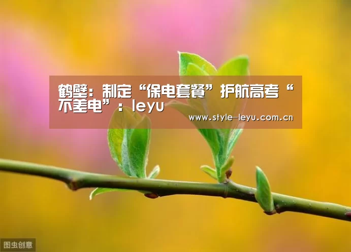 鹤壁：制定“保电套餐”护航高考“不差电”：leyu